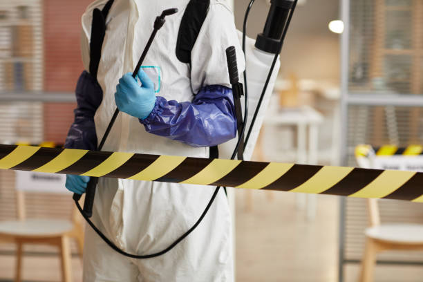 Professional Sewage Cleanup technician working in Dixon, CA